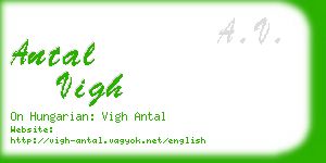 antal vigh business card